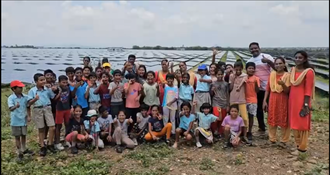 Tree Plantation