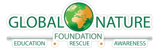 volunteer-img